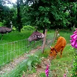 Quinta Da Toural * Аркуш-ди-Валдевеш