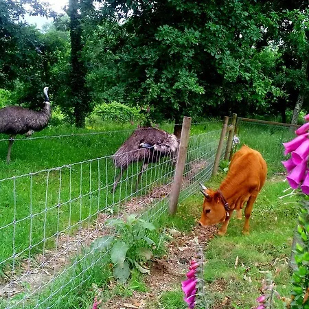 Quinta Da Toural * Arcos de Valdevez