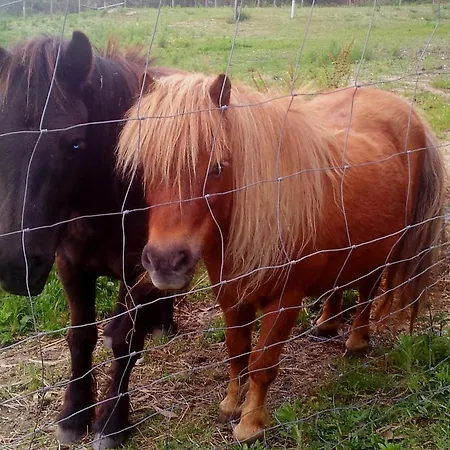Vakantiehuis Quinta Da Toural Arcos de Valdevez