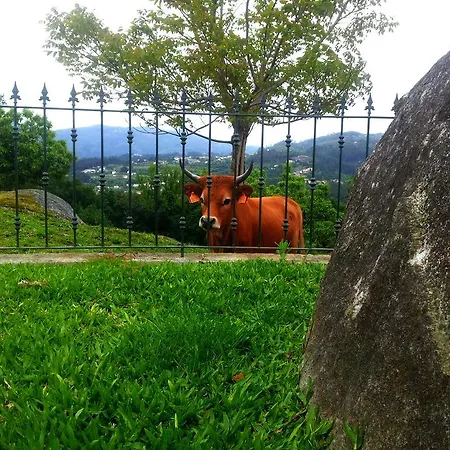 Casa de Férias Quinta Da Toural *