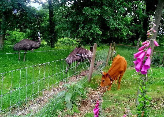 Quinta Da Toural * Arcos de Valdevez