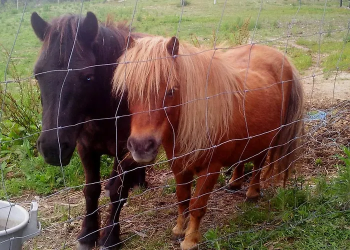 別荘 Quinta Da Toural アルコス・デ・ヴァルデヴェス